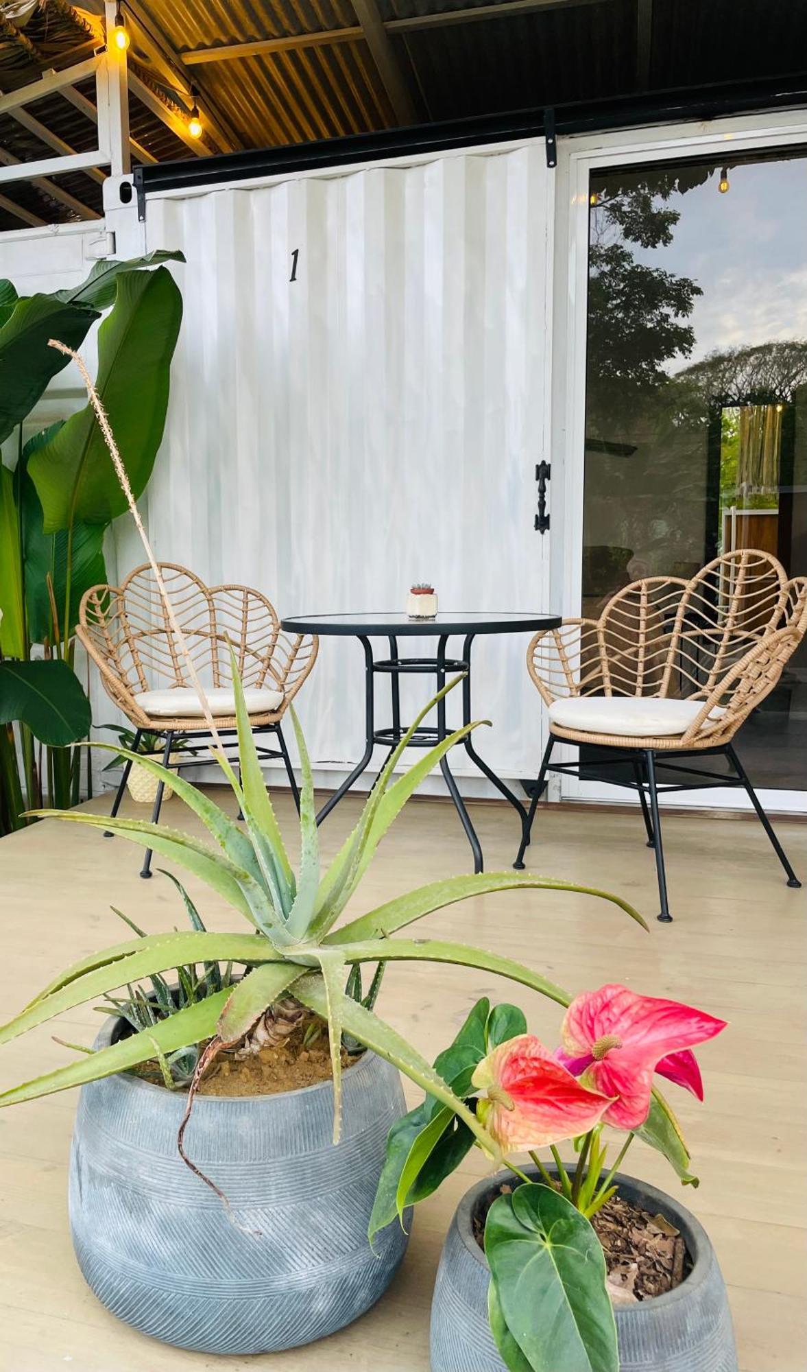 Bed and Breakfast Casa Luce Puerto Viejo de Talamanca Exterior foto